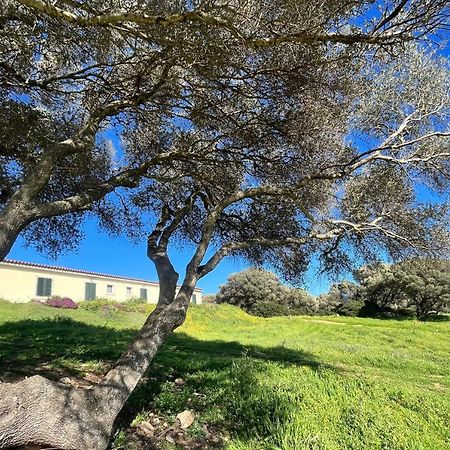 La Striscia Larga Bed and Breakfast San Pasquale Εξωτερικό φωτογραφία