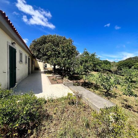 La Striscia Larga Bed and Breakfast San Pasquale Εξωτερικό φωτογραφία