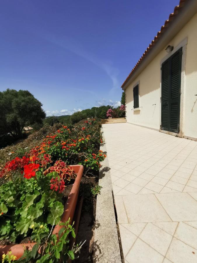 La Striscia Larga Bed and Breakfast San Pasquale Εξωτερικό φωτογραφία