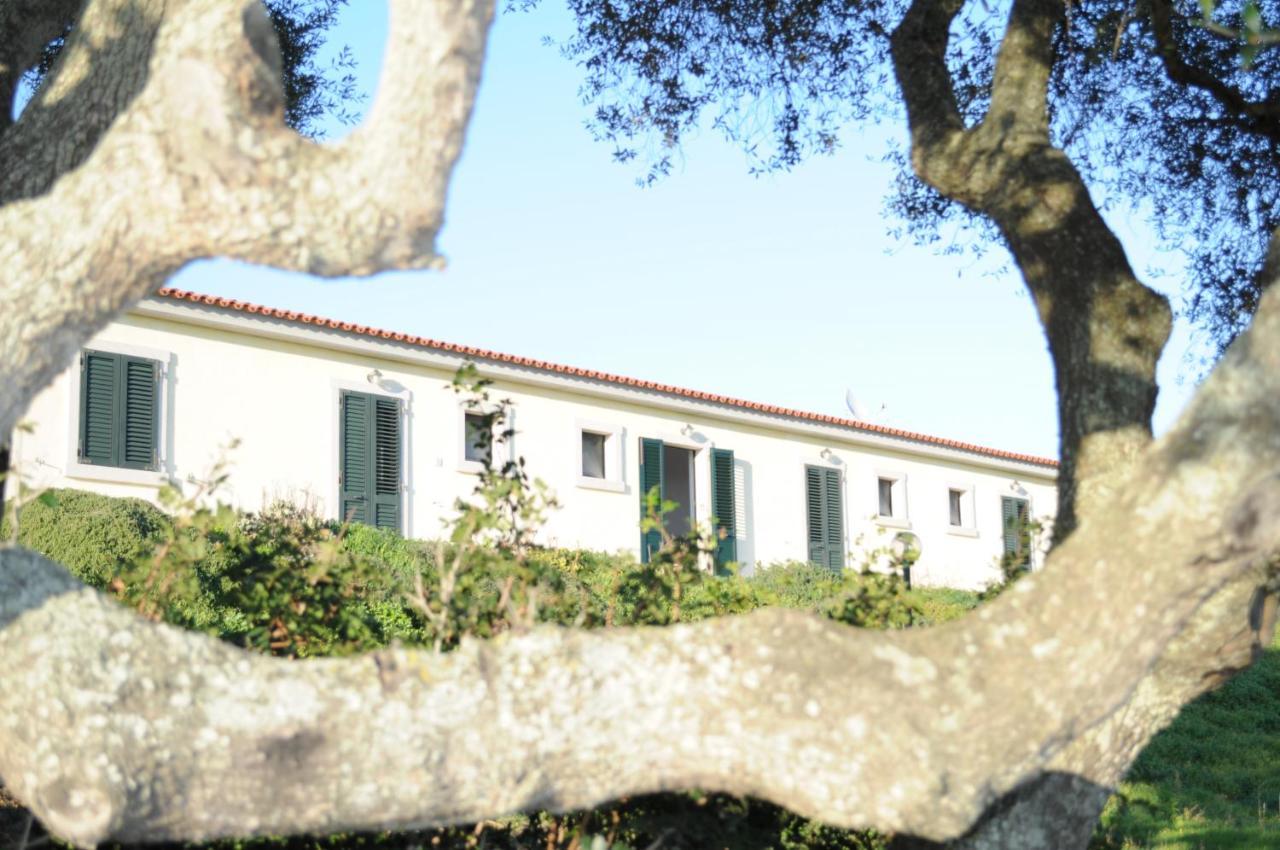 La Striscia Larga Bed and Breakfast San Pasquale Εξωτερικό φωτογραφία