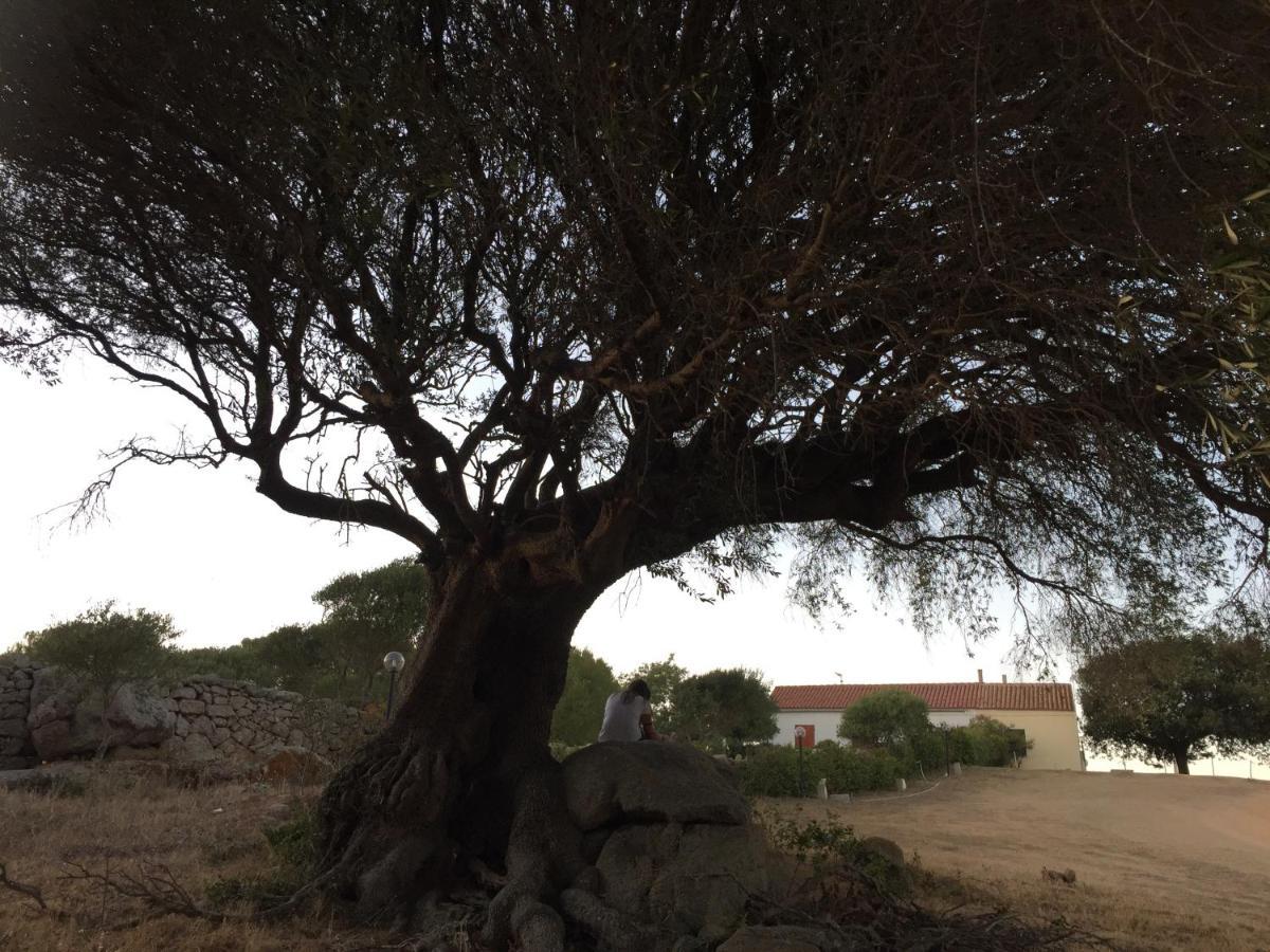 La Striscia Larga Bed and Breakfast San Pasquale Εξωτερικό φωτογραφία