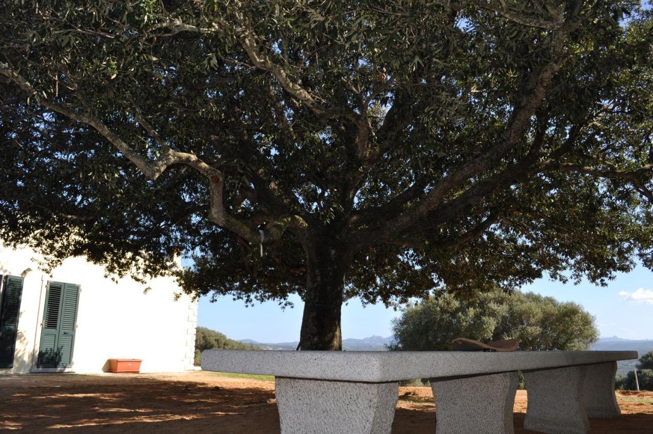 La Striscia Larga Bed and Breakfast San Pasquale Εξωτερικό φωτογραφία