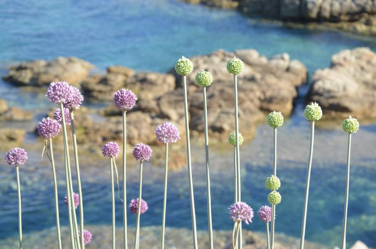 La Striscia Larga Bed and Breakfast San Pasquale Εξωτερικό φωτογραφία