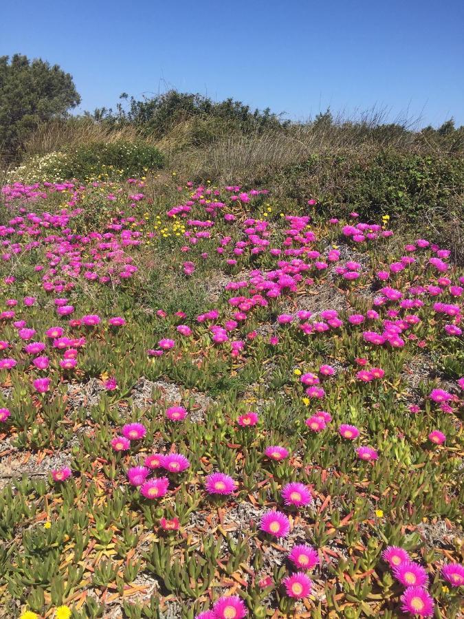 La Striscia Larga Bed and Breakfast San Pasquale Εξωτερικό φωτογραφία