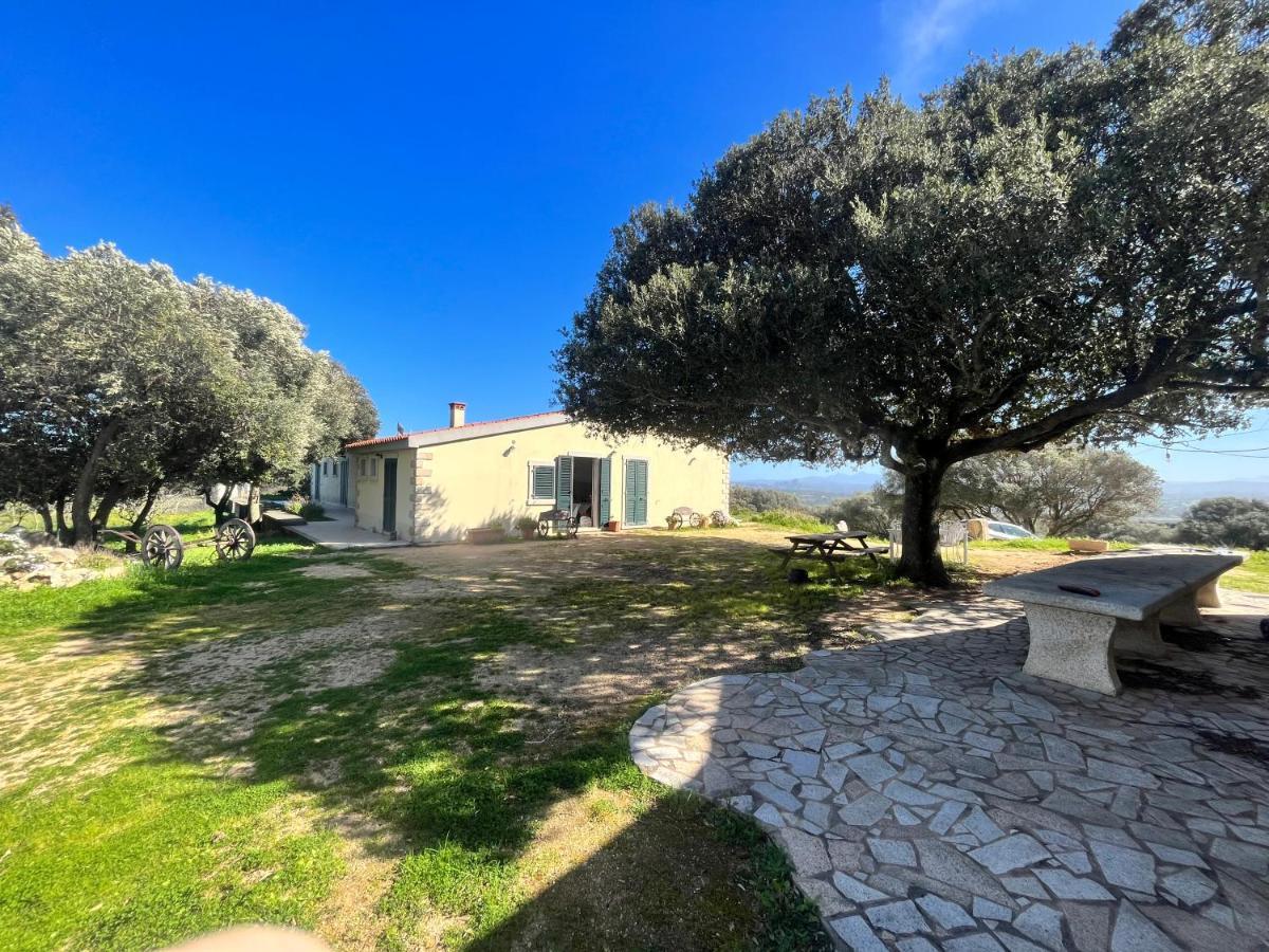 La Striscia Larga Bed and Breakfast San Pasquale Εξωτερικό φωτογραφία