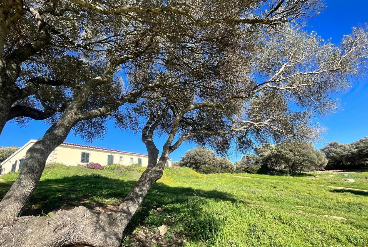 La Striscia Larga Bed and Breakfast San Pasquale Εξωτερικό φωτογραφία