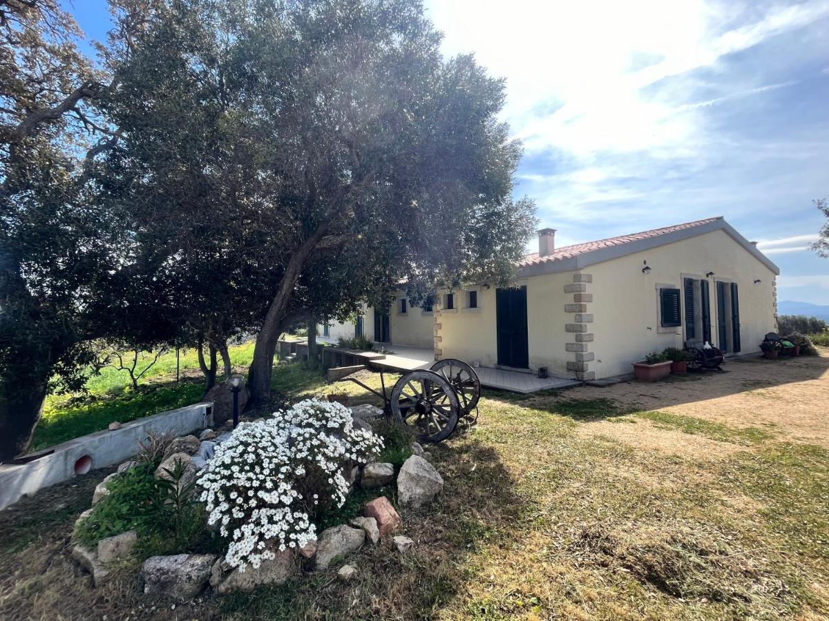 La Striscia Larga Bed and Breakfast San Pasquale Εξωτερικό φωτογραφία