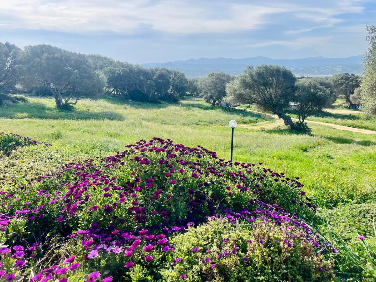 La Striscia Larga Bed and Breakfast San Pasquale Εξωτερικό φωτογραφία