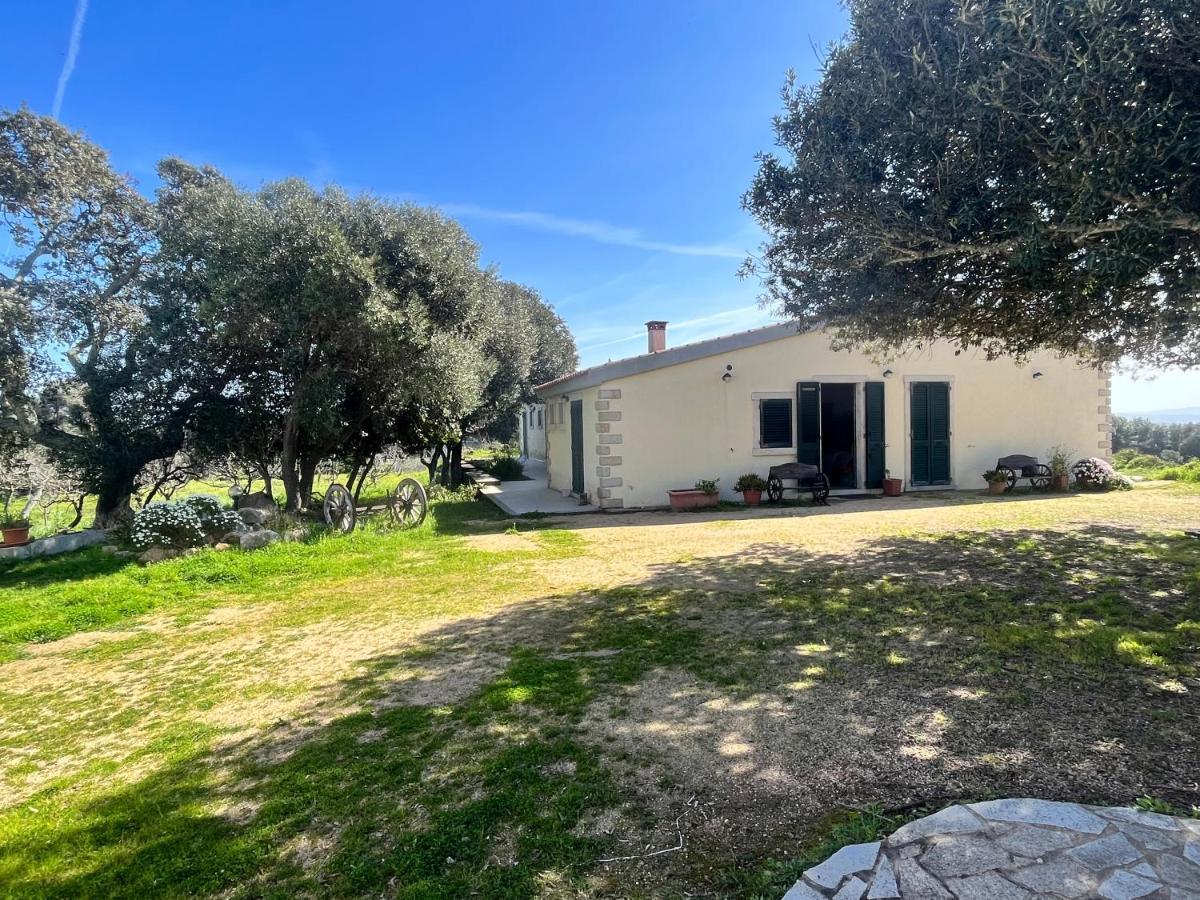La Striscia Larga Bed and Breakfast San Pasquale Εξωτερικό φωτογραφία