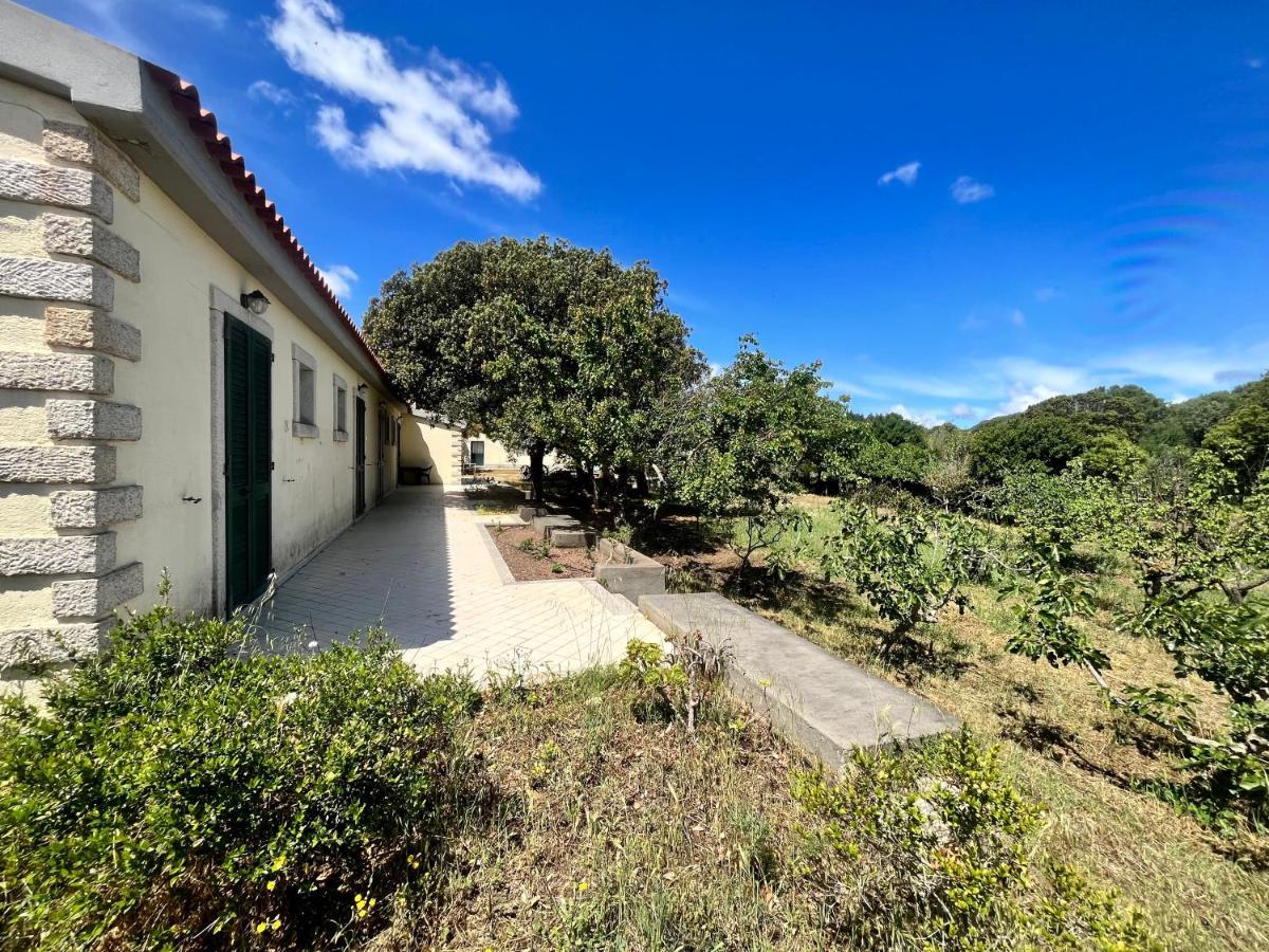 La Striscia Larga Bed and Breakfast San Pasquale Εξωτερικό φωτογραφία