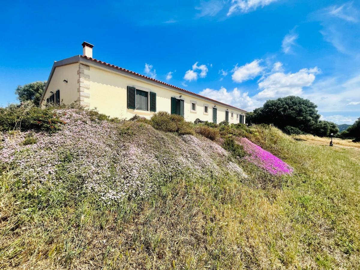 La Striscia Larga Bed and Breakfast San Pasquale Εξωτερικό φωτογραφία