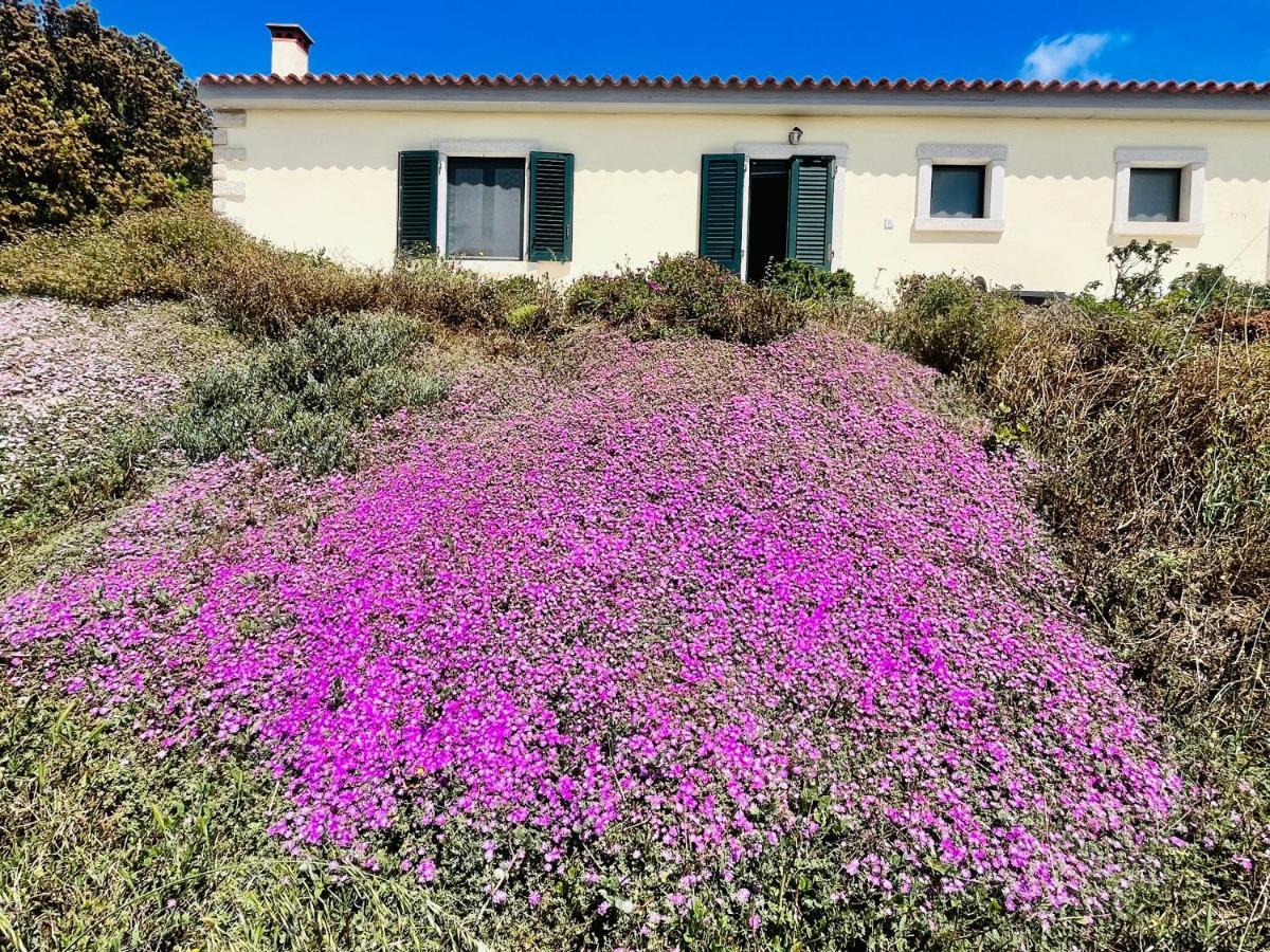 La Striscia Larga Bed and Breakfast San Pasquale Εξωτερικό φωτογραφία