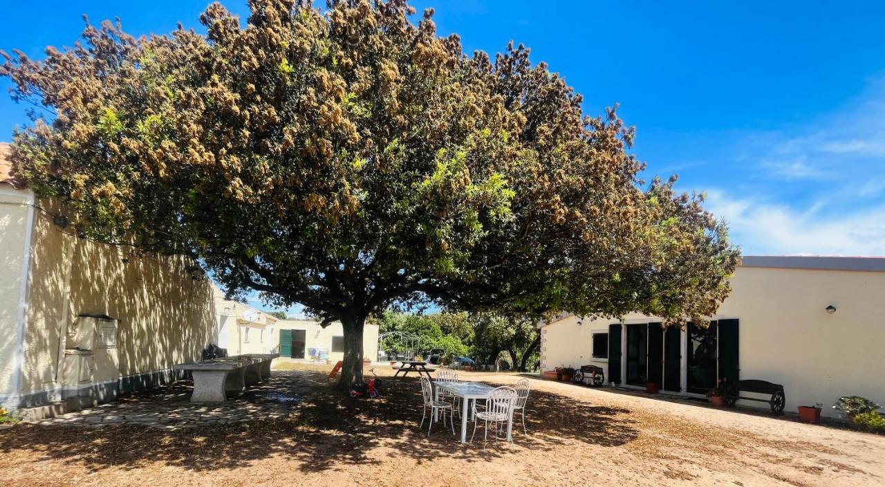 La Striscia Larga Bed and Breakfast San Pasquale Εξωτερικό φωτογραφία